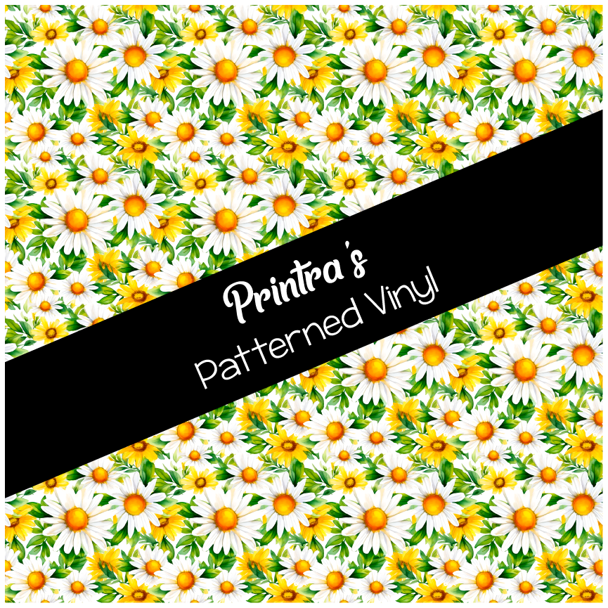 Daisy Days #01