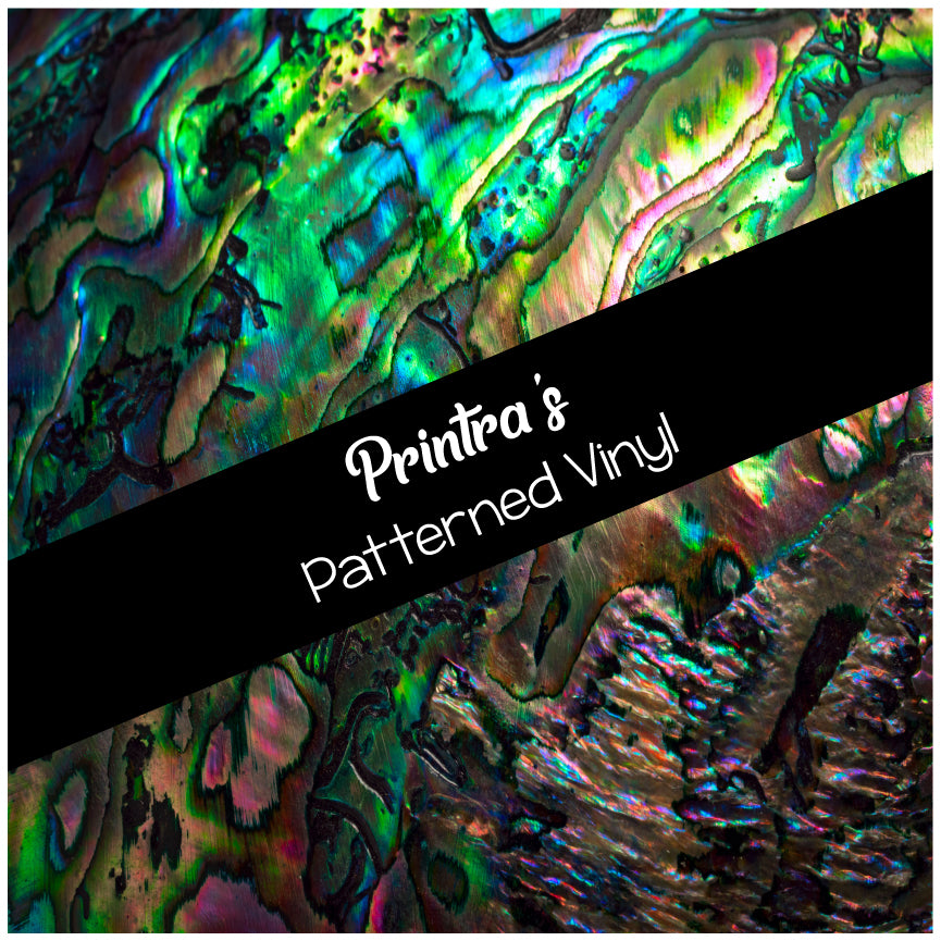 Abalone Shell #01