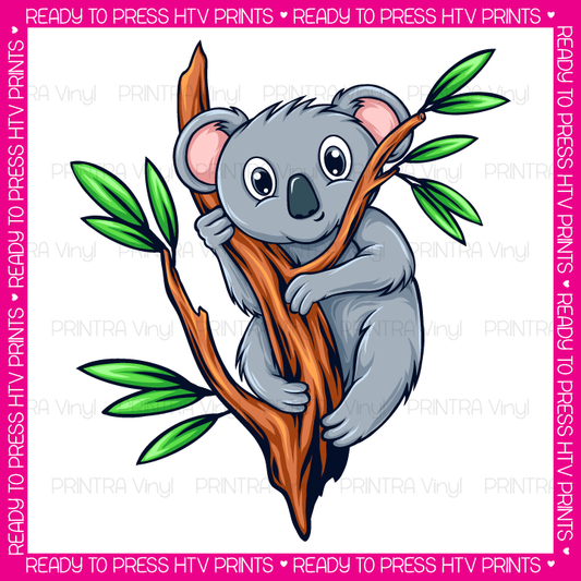 Koala Hanging Out - RTP HTV Print