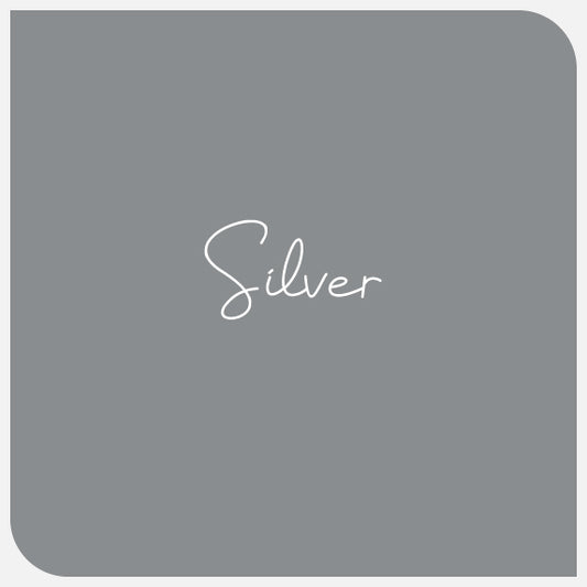 Silver Hotmark Revolution HTV