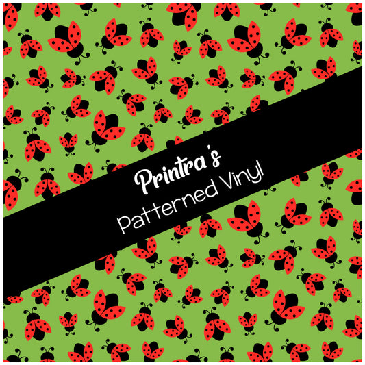 Ladybird #01