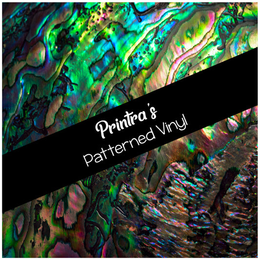 Abalone Shell #01