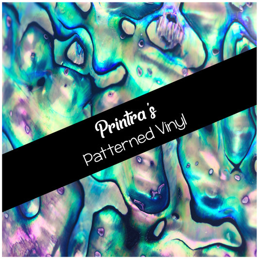 Abalone Shell #03