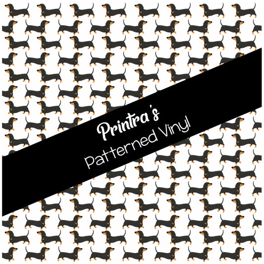 Dachshunds #03
