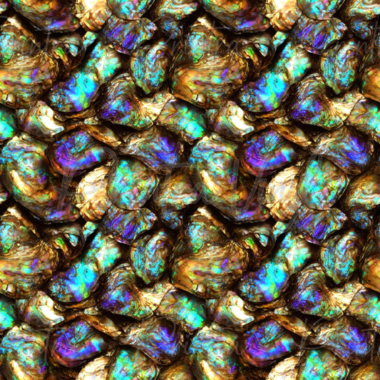 Abalone Shell #05 patterned vinyl featuring a collection of iridescent abalone shells with shimmering turquoise, aqua, blue, purple, gold, and emerald tones, showcasing natural pearlescent textures and vibrant ocean-inspired colours.