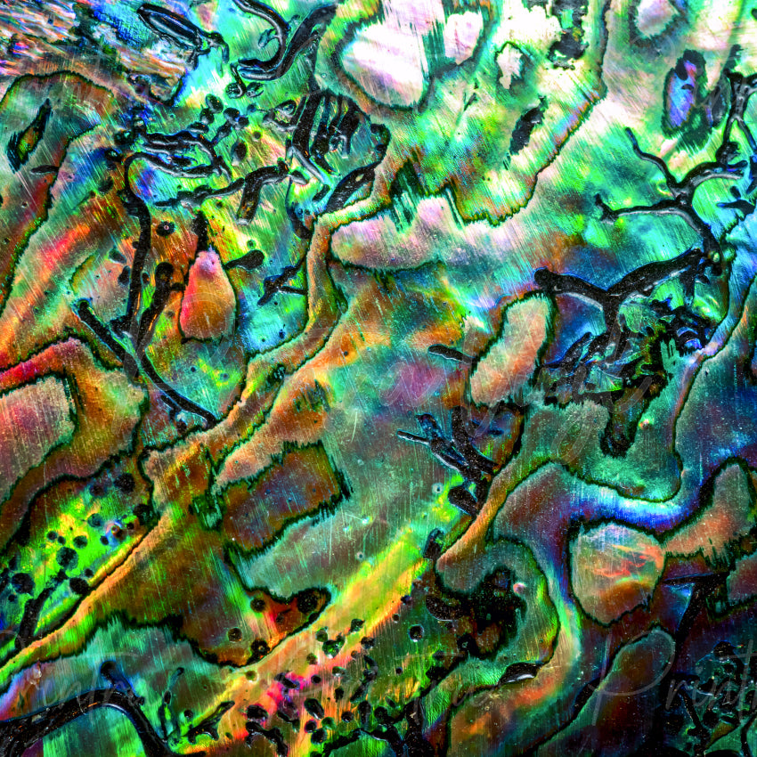 Copilot said:

Abalone Shell #06 patterned vinyl featuring an iridescent abalone shell texture with flowing organic formations, shimmering turquoise, emerald, blue, gold, pink, and violet tones, highlighted by natural shell contours and luminous pearlescent effects.