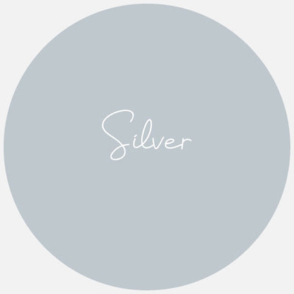 A round silver colour swatch with the name Silver in the middle.